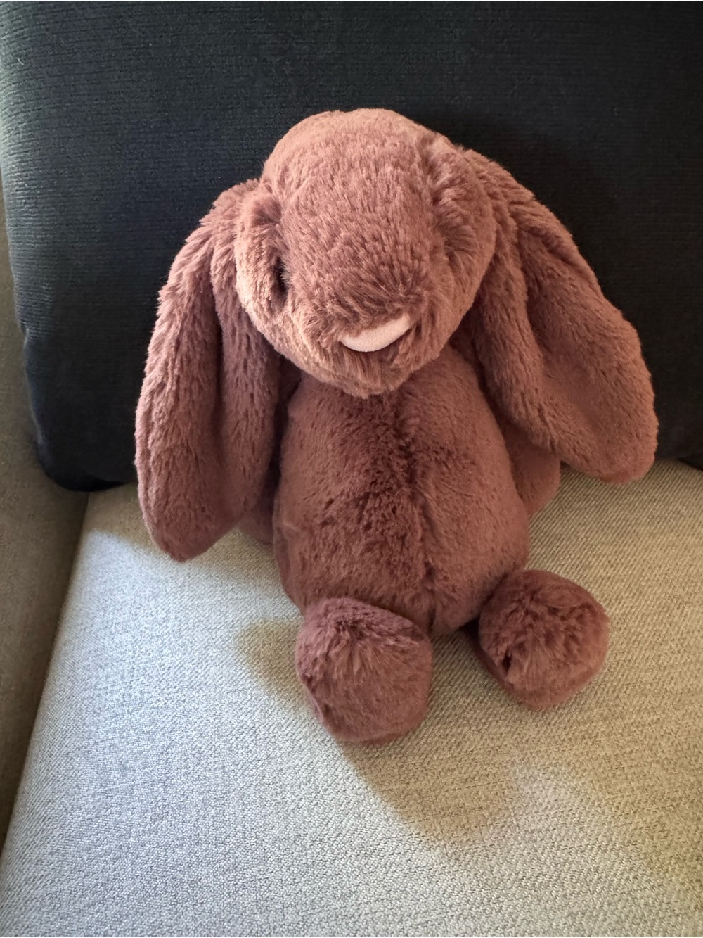 Jellycat Bashful Fudge Bunny - NWOT